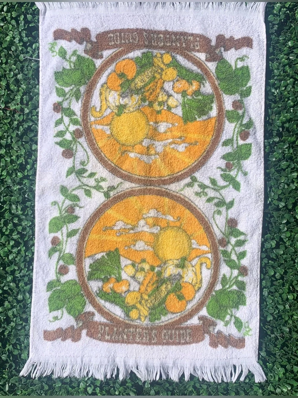 Vintage 70s Sayco Planter’s Guide Gardener Vegetable Patch & Sun Dish Towel